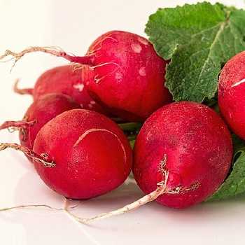 Radish Whirls