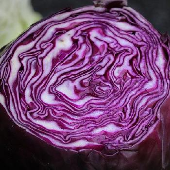 Red Cabbage, Pickled