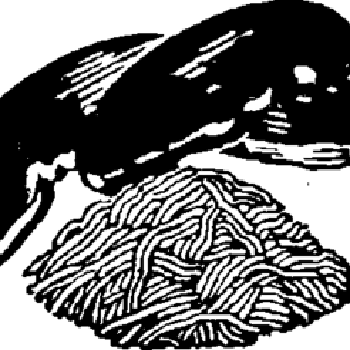 Savory Beef Liver and Spaghetti