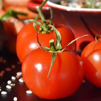 Savory Rice with Tomatoes