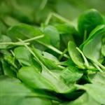 Scalloped Spinach