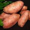 Scalloped Sweet Potatoes And Apples
