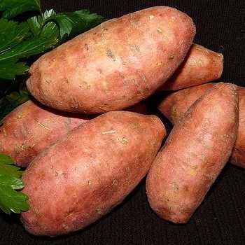 Scalloped Sweet Potatoes And Apples