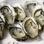 Scaloped Oysters