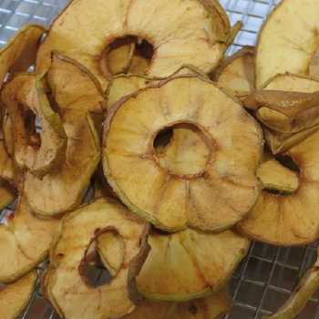 Schnitz Pie (Dried Apples)