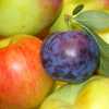 Stewed Dried Fruits