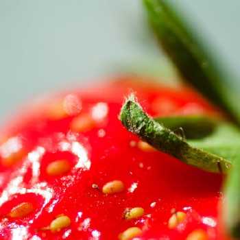 Strawberry Preserves