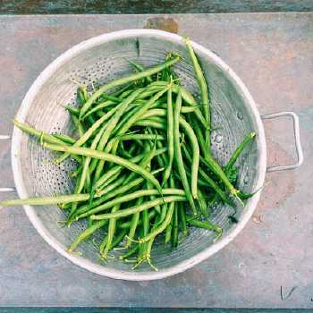 String Beans