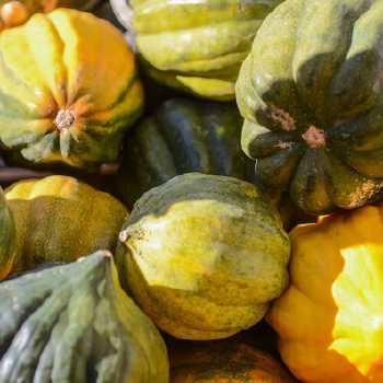 Stuffed Acorn Squash