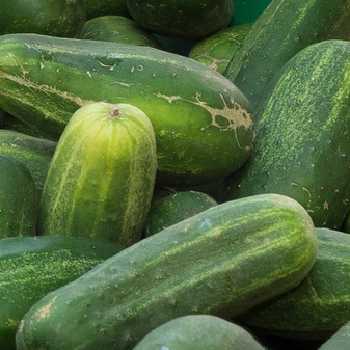 Stuffed Vegetable Marrow