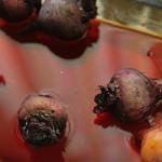 Sweet And Sour Beets
