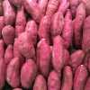 Sweet-Potato Bread