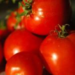 Tomatoes with French Garlic Dressing