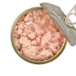 Tuna-Salmon Appetizer