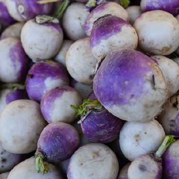 Turnip Tops or Spinach