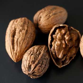 Walnut Kisses