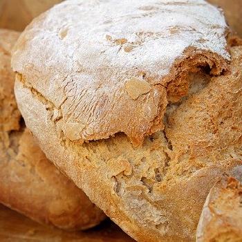 Whole-Wheat Bread - Straight Dough Method